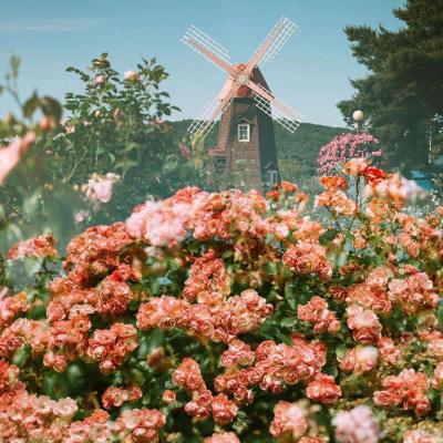 欧意app下载安装